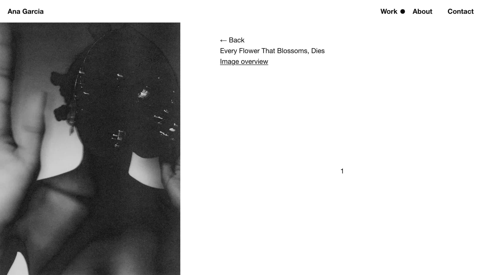A project page: one image at a time, a title, and nothing else competing with the photograph.